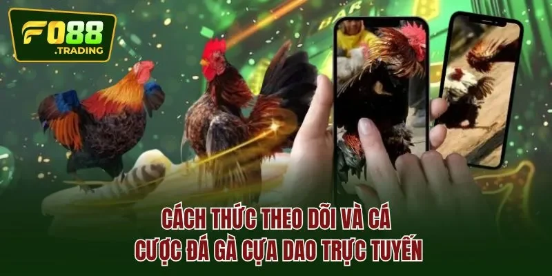 Cách thức theo dõi và cá cược đá gà cựa dao trực tuyến