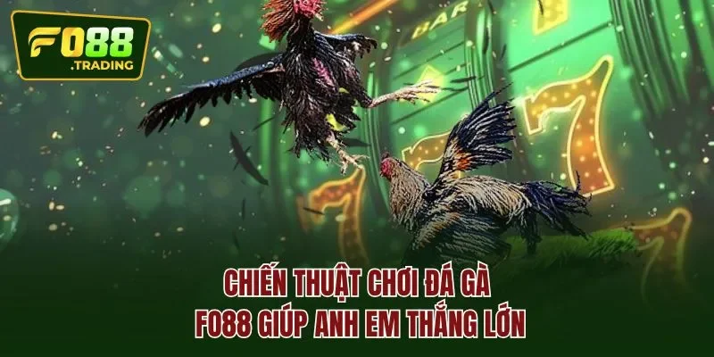 Chiến thuật chơi ĐÁ GÀ FO88 giúp anh em thắng lớn