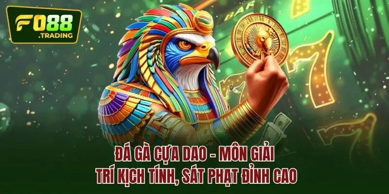 Đá gà cựa dao