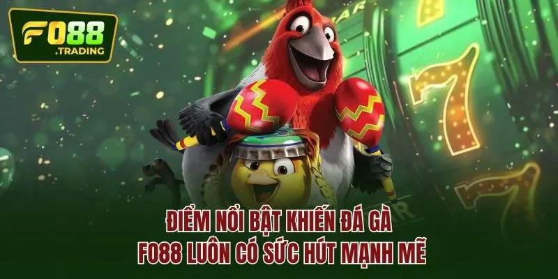 Điểm nổi bật khiến ĐÁ GÀ FO88 luôn có sức hút mạnh mẽ