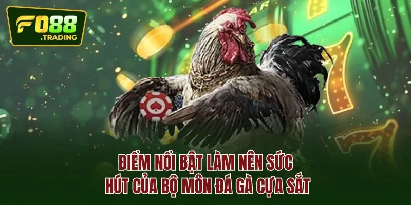 Điểm nổi bật làm nên sức hút của bộ môn đá gà cựa sắt