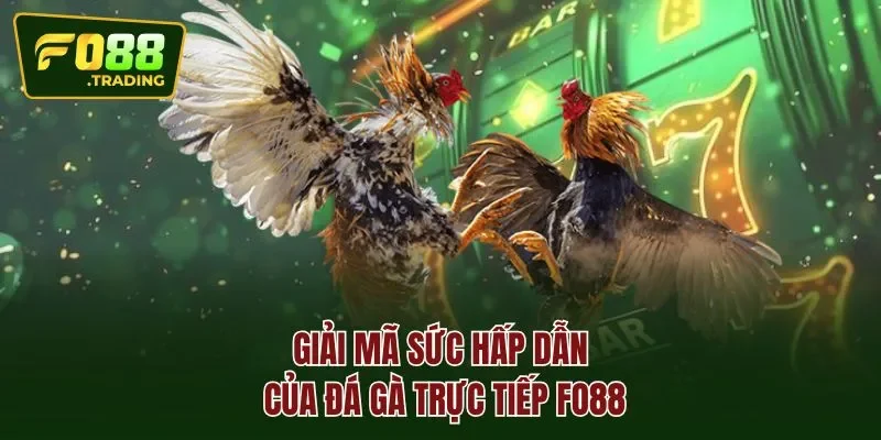 Giải mã sức hấp dẫn của đá gà trực tiếp FO88