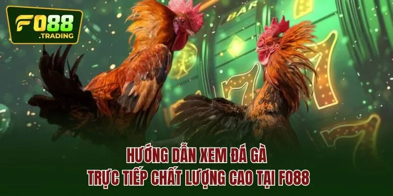 Hướng dẫn xem đá gà trực tiếp chất lượng cao tại FO88
