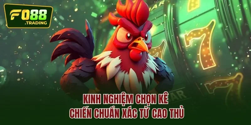 Kinh nghiệm chọn kê chiến chuẩn xác từ cao thủ