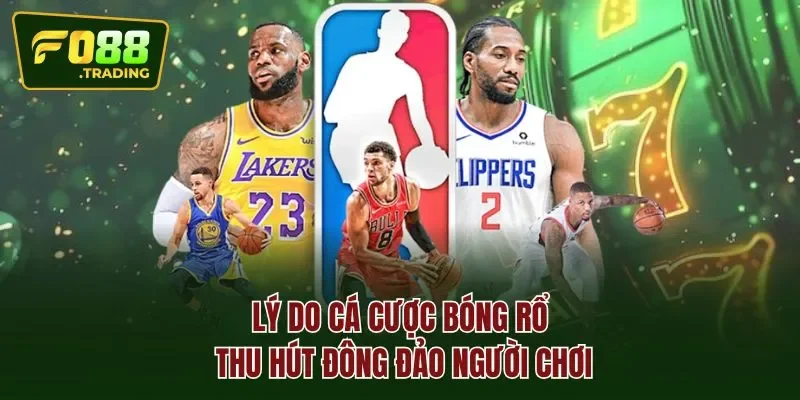 Lý do cá cược bóng rổ thu hút đông đảo người chơi