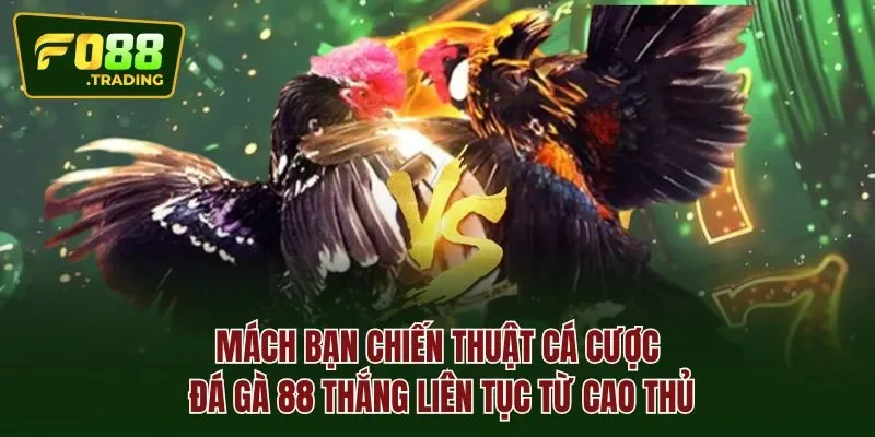 Mách bạn chiến thuật cá cược đá gà 88 thắng liên tục từ cao thủ
