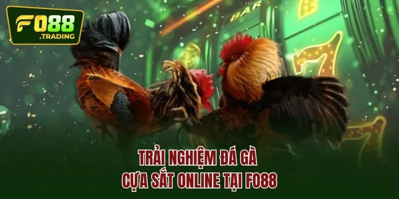 Trải nghiệm đá gà cựa sắt online tại FO88